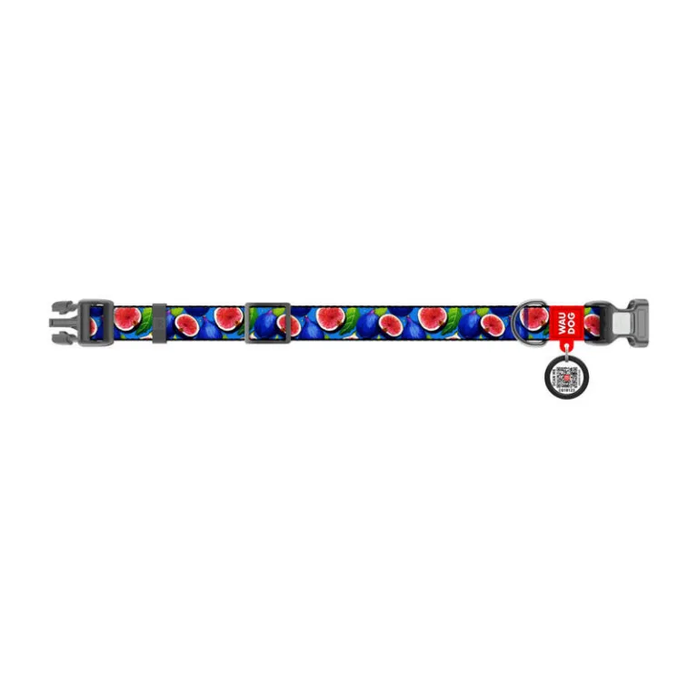 Nailonist koerakaelarihm QR-koodiga Waudog „Viigimari“ S (25–35 cm)