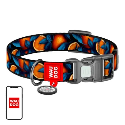 Nutikas koerakaelarihm QR-koodi ja helkuriga Waudog Oranges S (25–35 cm)