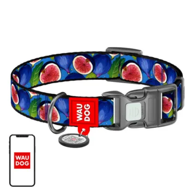 Nutikas koerakaelarihm helkuriga ja QR-passiga Waudog Fig M (28–40 cm)