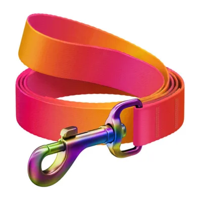 Oranž väikese koera jalutusrihm WAUDOG, nailon, 15 mm, 122 cm
