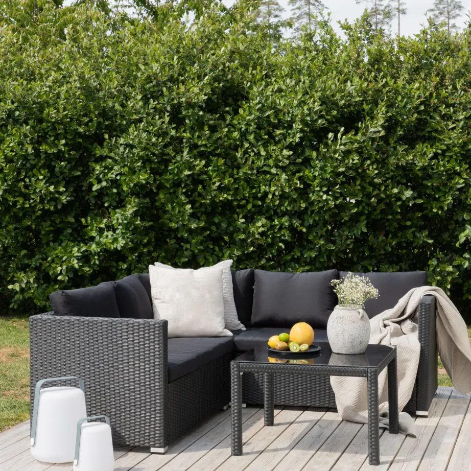 Punutisest nurgadiivani komplekt aeda Kuba, 1532-238 – 9