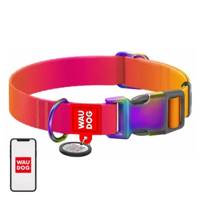 QR koerakaelarihm WAUDOG oranž, reguleeritav 15 mm (25–35 cm)
