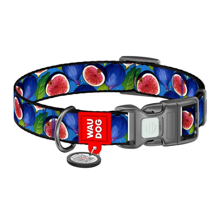 QR koerakaelarihm Waudog Fig XL, helkuriga nailon, 37–58 cm
