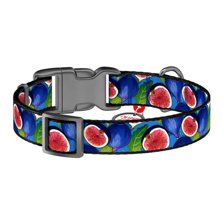 QR koerakaelarihm Waudog Fig XL, helkuriga nailon, 37–58 cm