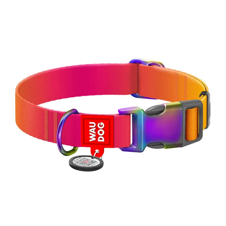 QR-koerakaelarihm Waudog M, oranž nailon (28–40 cm)