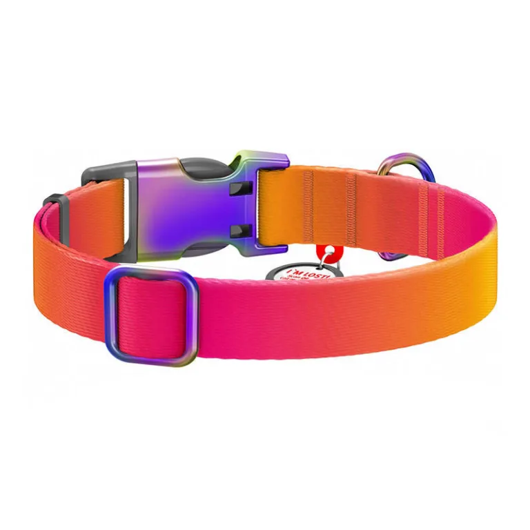 QR-koerakaelarihm Waudog M, oranž nailon (28–40 cm)
