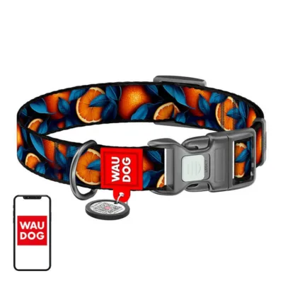 QR‑koodiga helkiv koerakaelarihm Waudog Oranges M (28–40 cm, nailon)