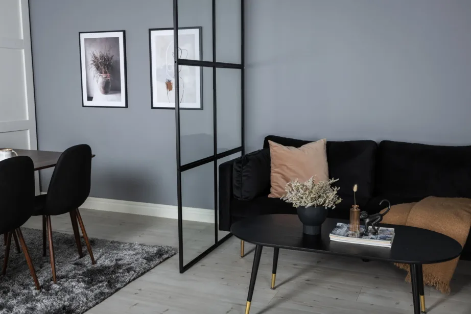 Industriaalne klaasvahesein Leif (must, teras, 120 × 210 cm), 15353-888 – 3