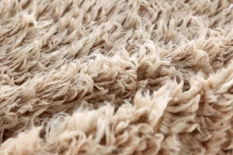 Beež kõrge karvaga villavaip Leiko, 300 × 200 cm, 15674-150 – 4