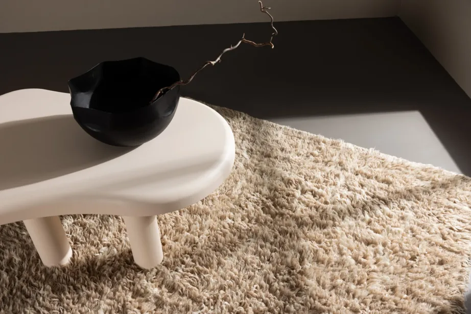 Beež kõrge karvaga villavaip Leiko, 300 × 200 cm, 15674-150 – 5