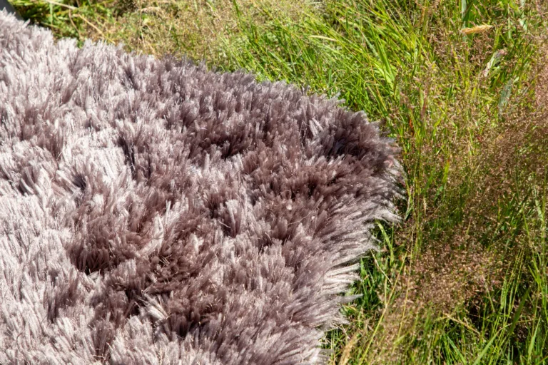 Šokolaadipruun pehme kõrge karvaga vaip Grace, 200 × 300 cm, polüester - 15701-880