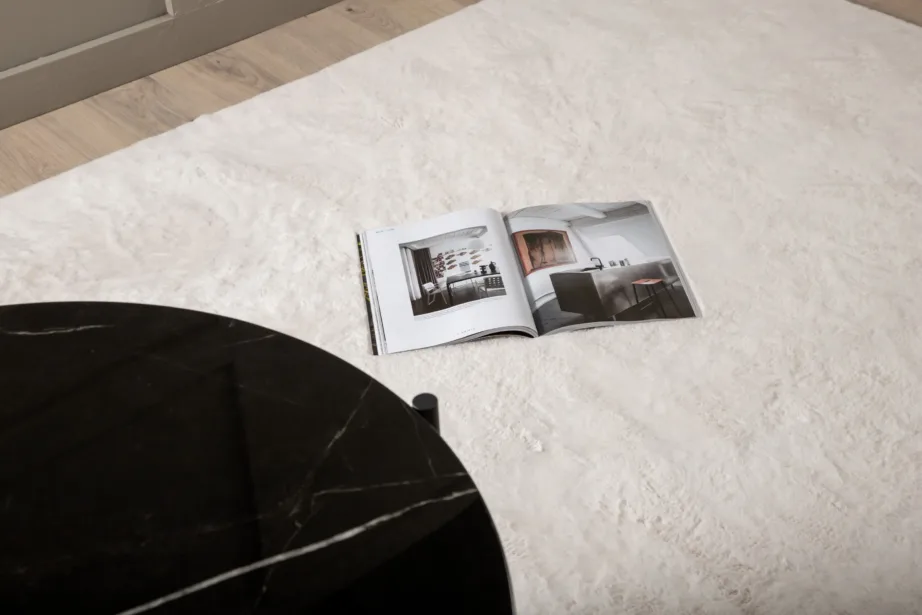 Valge siidise pealispinnaga polüester vaip Nina, 160 × 230 cm, 15707-620 – 5