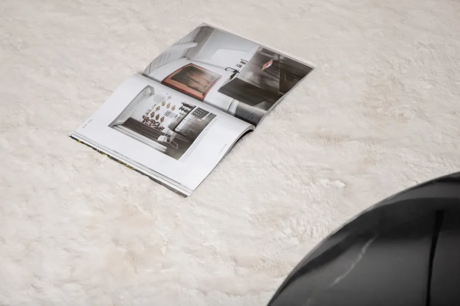 Valge siidise pealispinnaga polüester vaip Nina, 160 × 230 cm, 15707-620 – 6