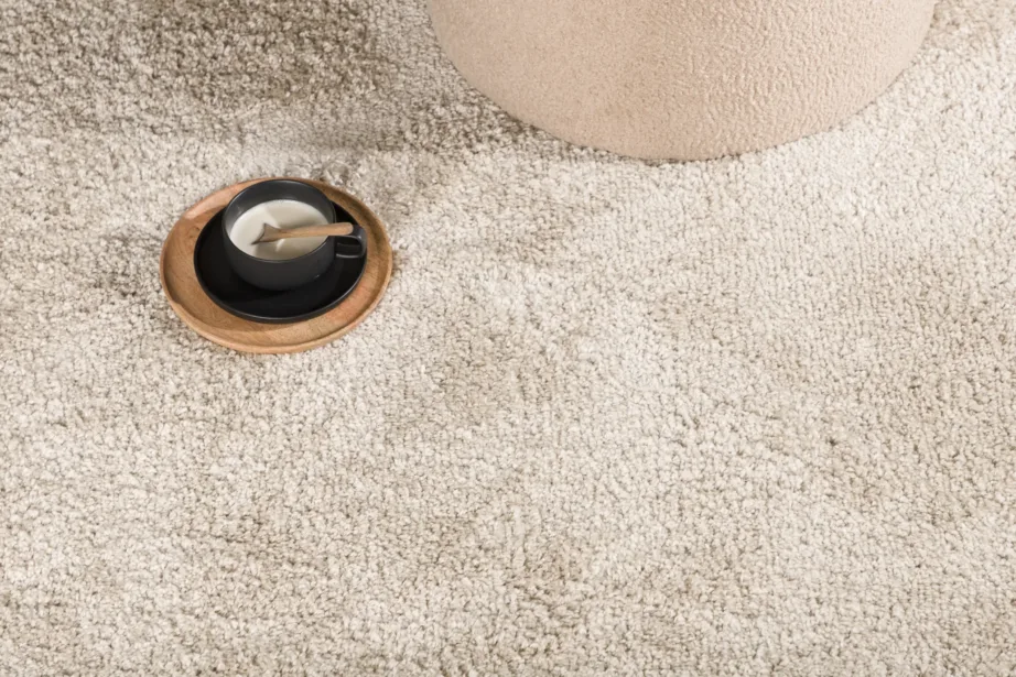 Beež kõrge karvaga vaip Walter, 340 × 240 cm, 16026-102 – 6