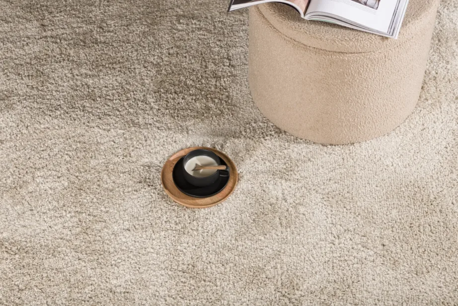 Beež karvane polüpropüleenvaip Walter, 290 × 200 cm, 16027-102 – 5