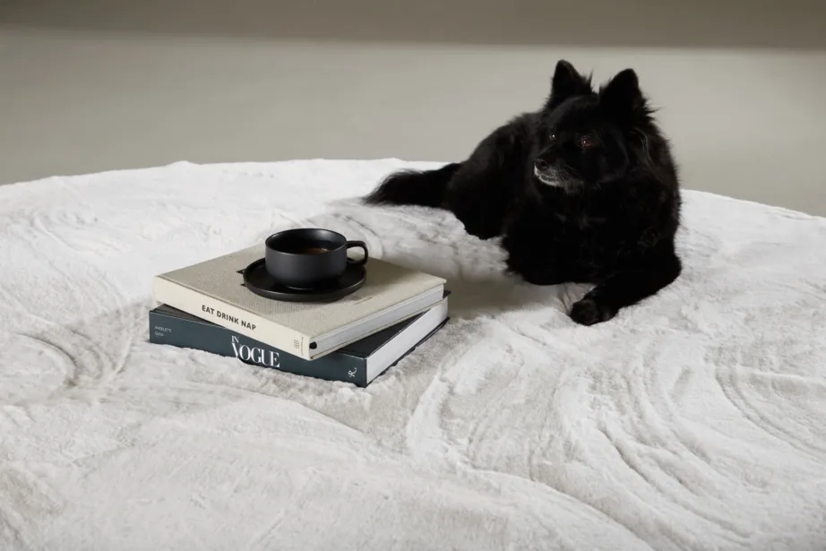 Valge ümmargune polüester-puuvillavaip Nina, ø 200 cm, 16037-101 – 5