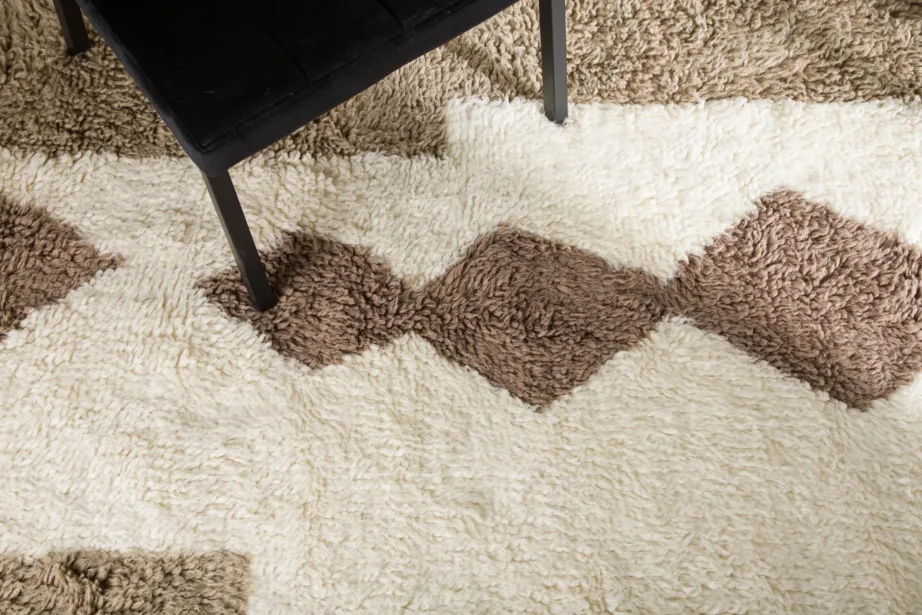 Nestor villavaip, kõrge karvaga, mitmevärviline, 350 × 250 cm, 16073-104 – 6