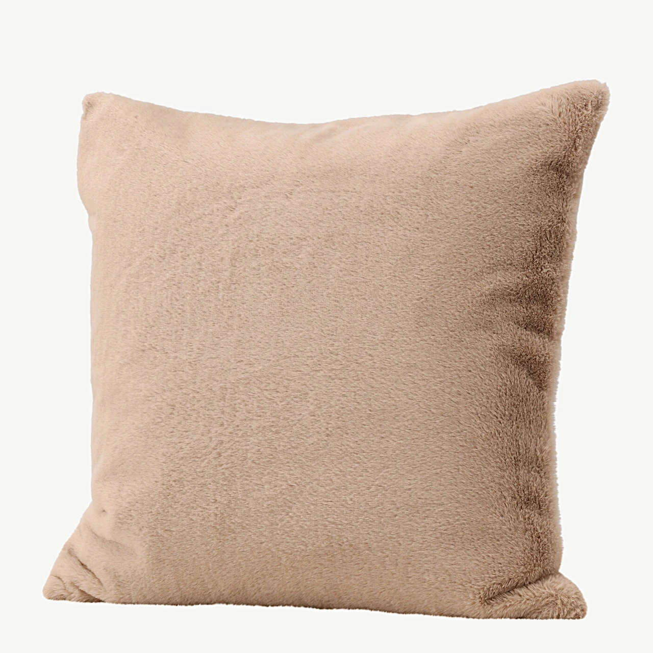 Beež dekoratiivpadjapüür Thea, 50 × 50 cm, pehme polüveluurne, peidetud lukuga - 16084-502