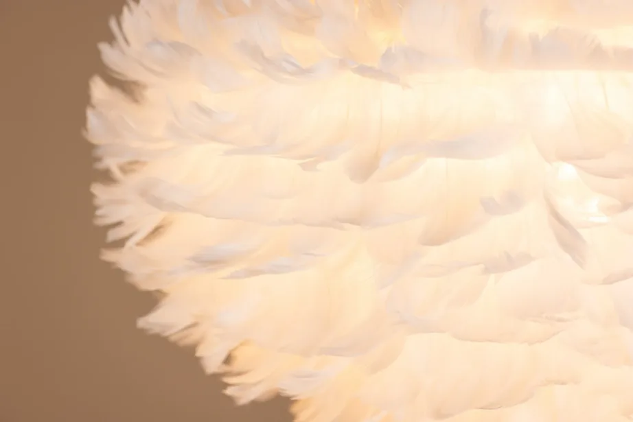 Nicola kollektsiooni suur valge sulgedega rippvalgusti, 17059-001 – 5