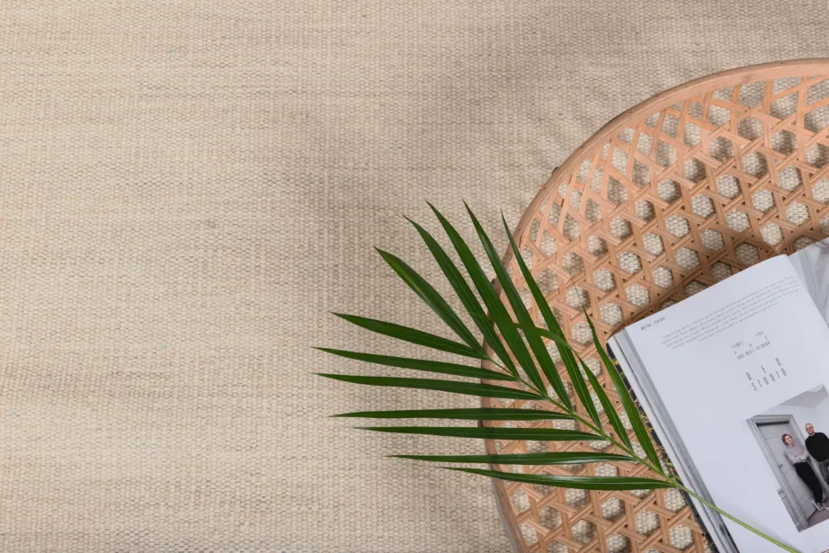 Beež villavaip Jaipur, 170 × 240 cm, 18026-330 – 7