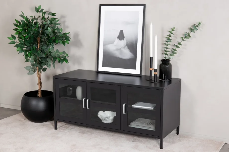 Tööstusliku stiiliga mustast terasest TV-alus Acero klaasustega ja eemaldatava riiuliga, 18065-208 – 3