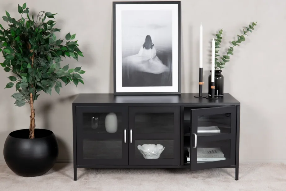 Tööstusliku stiiliga mustast terasest TV-alus Acero klaasustega ja eemaldatava riiuliga, 18065-208 – 4