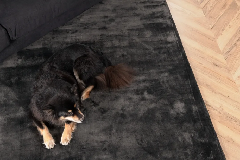 Indra tumehall viskoosvaip 170 × 240 cm, 19972-335 – 4