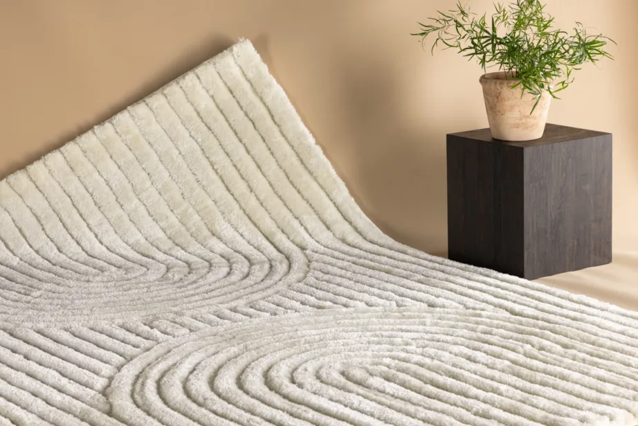 Valge reljeefne vaip Niklas, 290 × 200 cm, polüester-puuvill, 19982-101 – 3