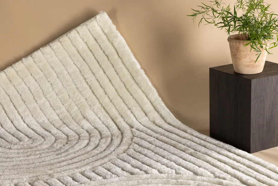 Valge reljeefne vaip Niklas, 290 × 200 cm, polüester-puuvill, 19982-101 – 5