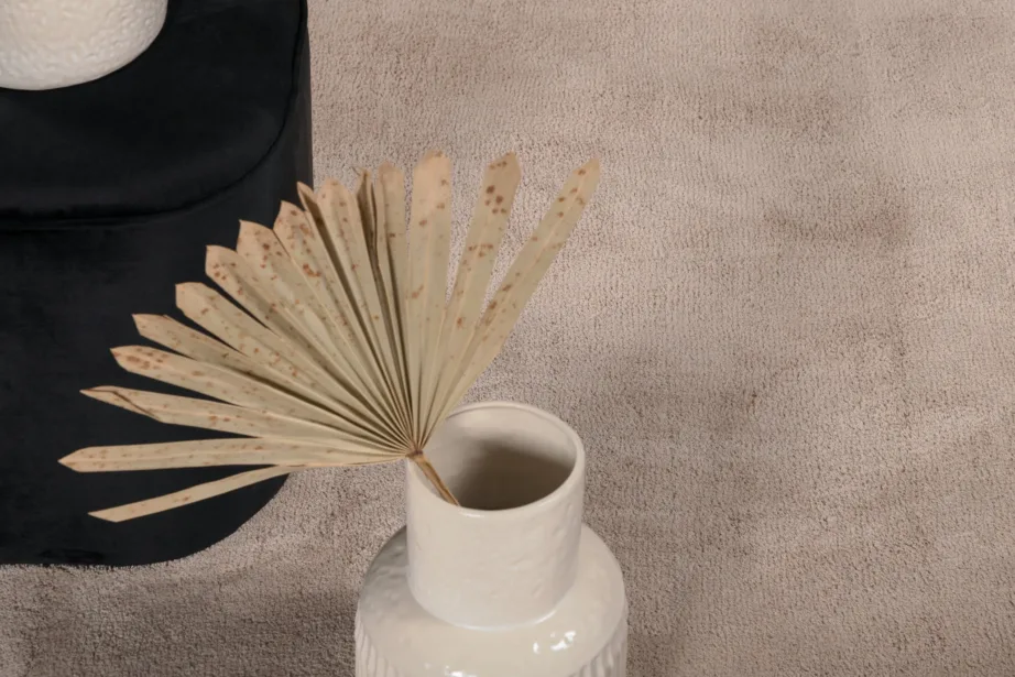 Beež suur elutoa vaip Undra 200×300 cm polüestrist ja puuvillast, 19986-330 – 5