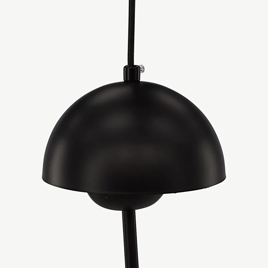 Kahe kupliga must raudrippvalgusti Lyckorna, Vind kollektsioon (55 × 40 cm), 50056-001 – 2