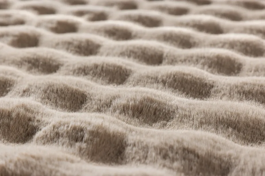 Beež polüestervaip Novis, 200 × 290 cm, 61549-102 – 7