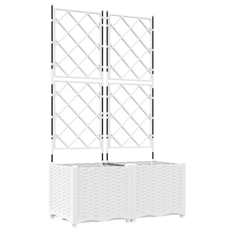 Aiakast trellisega 2 tk Valge 80x40x143 cm
