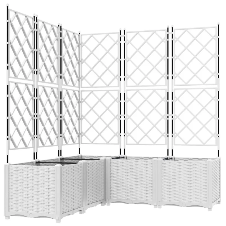 Aiakast trellisega 5 tk Valge 120x120x143 cm