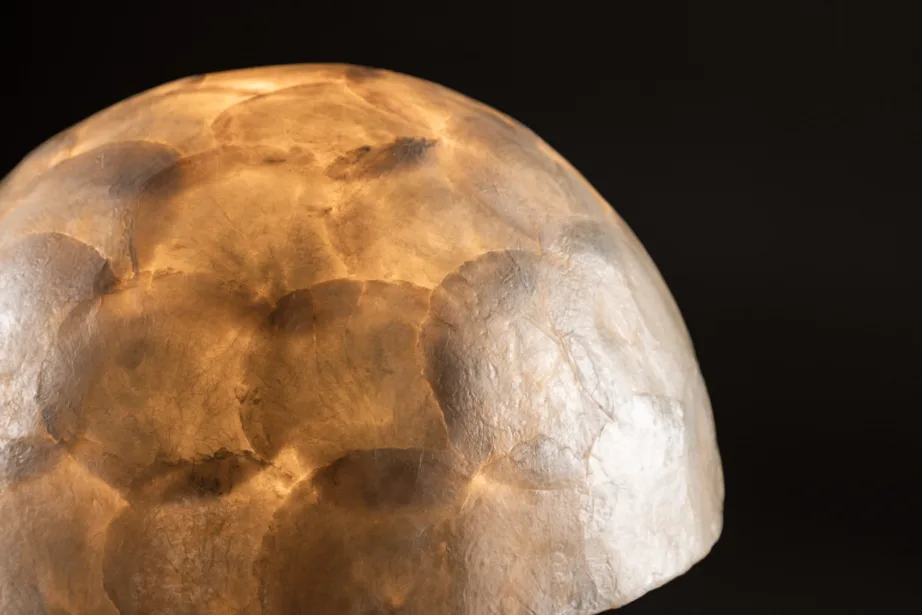 Helehall kapizikarpidest laualamp Lindön (⌀36 cm), 61811-111 – 11