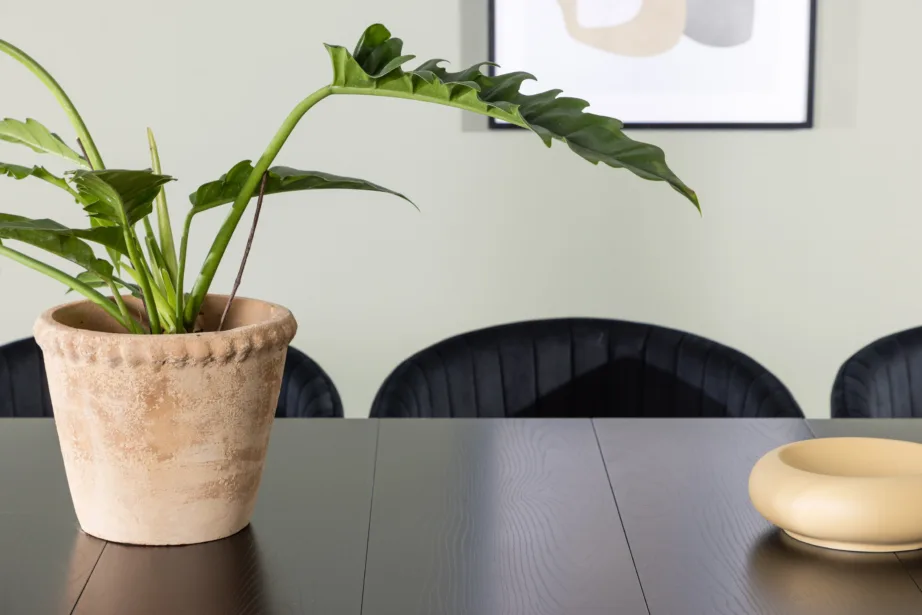 Must söögitoakomplekt Astrid laud ja Selma sametist toolid (6 tk), MDF, 200×90 cm, GR23515 – 7