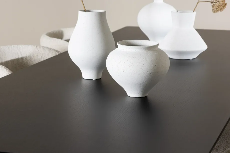 Ristkülikukujuline must söögilauakomplekt buklee toolidega: Ellis laud 230×85 cm ja 6 valget Agnes tooli, GR24605 – 10