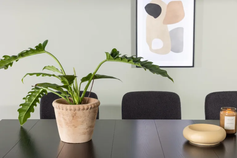 Skandinaavia stiilis söögigrupi komplekt Astrid must (söögilaud 200x90cm ja 6 buklee-kangaga tooli) - GR23517