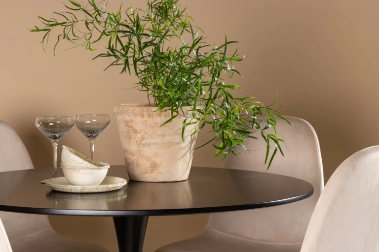 Ümmargune söögigrupi komplekt Glade – must laud ja beežid velvettoolid, 4-kohaline - GR22904