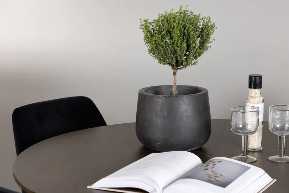 Ümara söögilaua komplekt Kaseidon (tumepruun MDF, ø100 cm) ja mustad sametist Night-toolid, GR23850 – 6