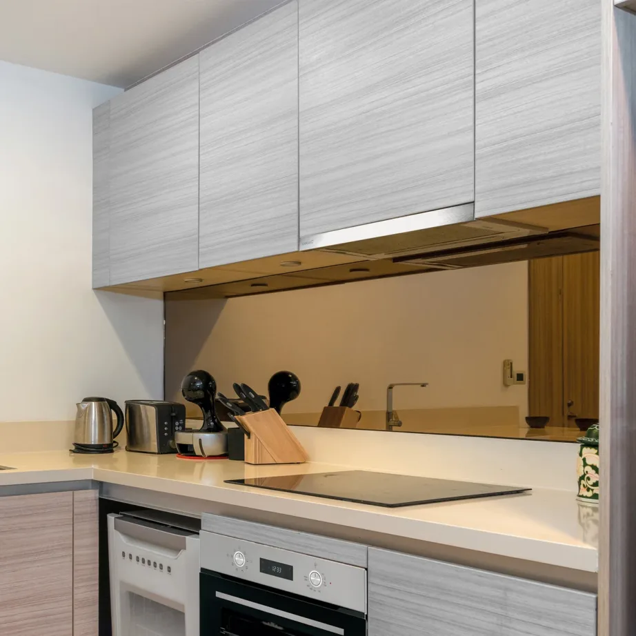 CATA TF 2003 Duralum 600 60 cm roostevabast terasest teleskoopõhupuhasti LED-valgustusega – 5