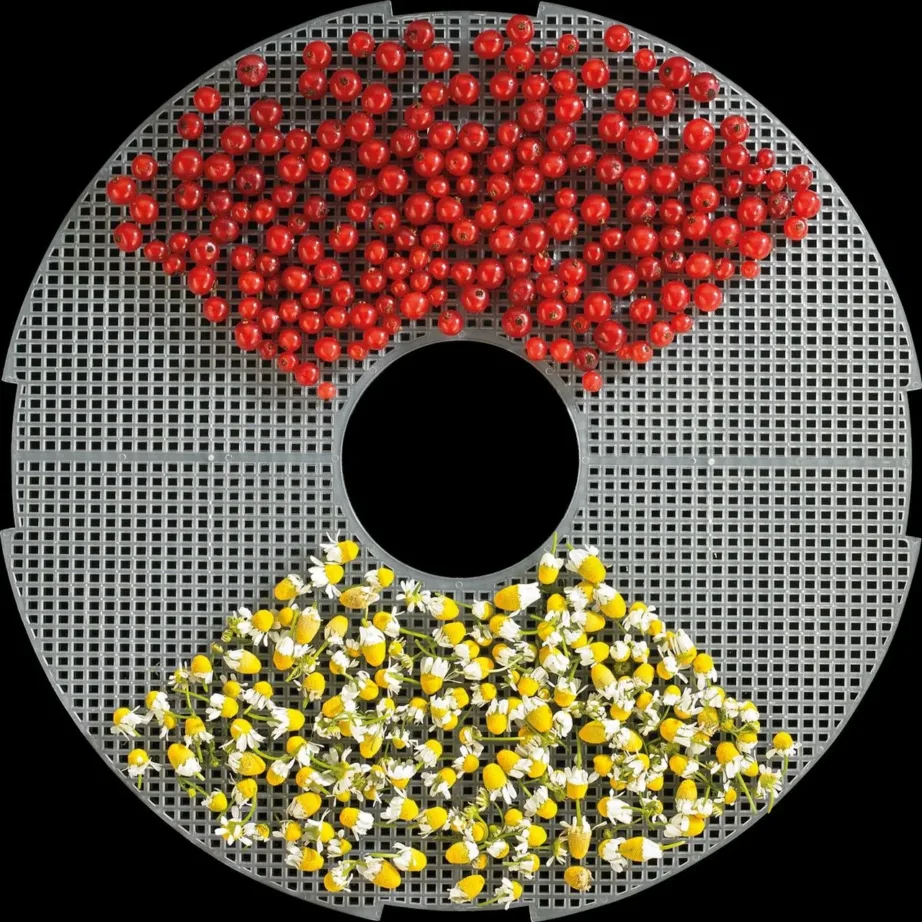 Gorenje FDK24DW valge toidukuivati, 380 W, 5 resti, elektrooniline taimer – 6