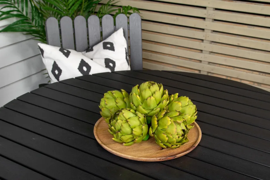 Holmsundi must aiamööblikomplekt (WPC, teras, ümmargune laud, 4 tooli), 9277-488 – 9