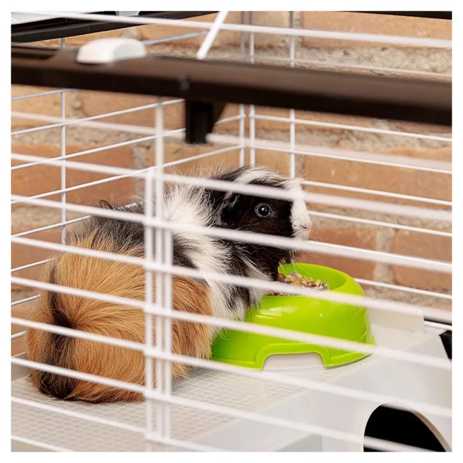 Ferplast Casita 80 78x48x70 cm hall metallist ja plastikust puur meriseale ning väikesele küülikule jooginõu ja kausiga – 9