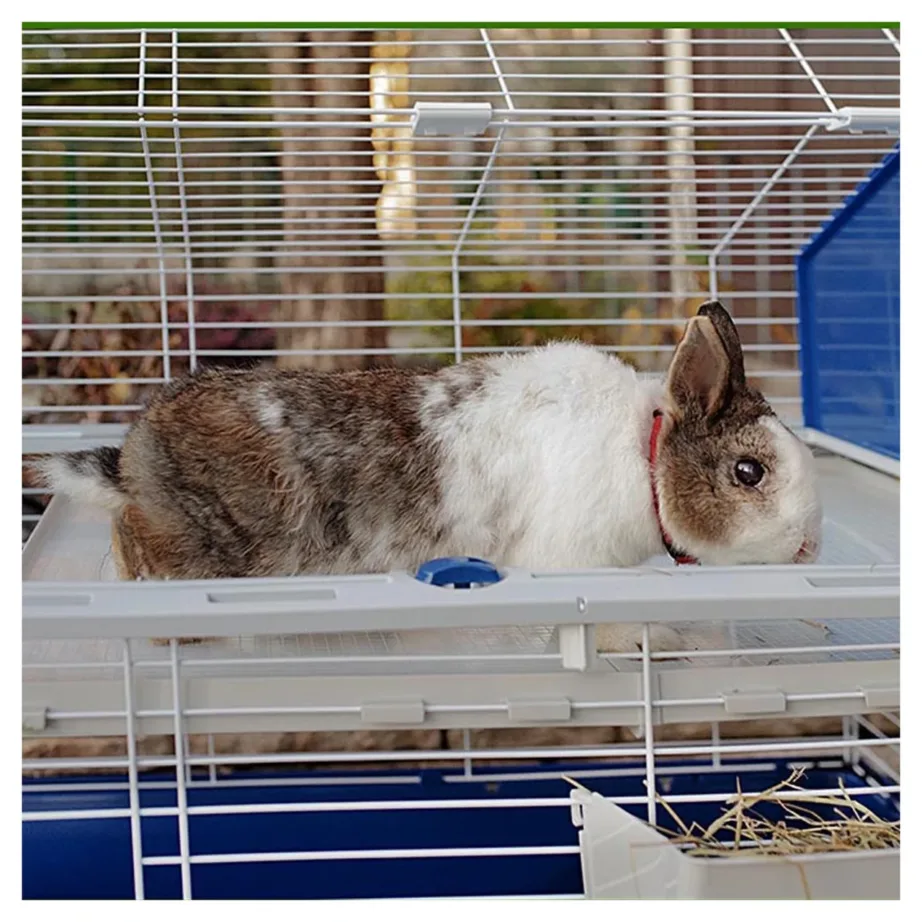 Ferplast Barn 80 78x48x65 cm hall metallist ja plastikust puur jänesele või meriseale joogipudeliga ja kausiga – 4