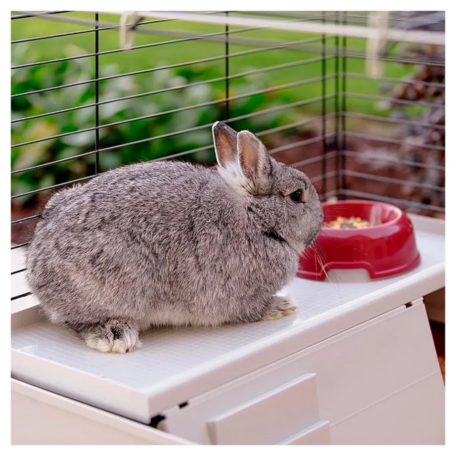 Ferplast Krolik 140 Plus 142x60x50 cm valge/bordeaux kokkupandav küülikupuur joogipudeli, kausi ja puidust majaga – 4