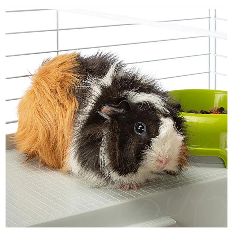 Ferplast Casita 80 78x48x50 cm hall metall-plastik puur meriseale ja küülikule, joogipudeli ja toidukausiga – 8