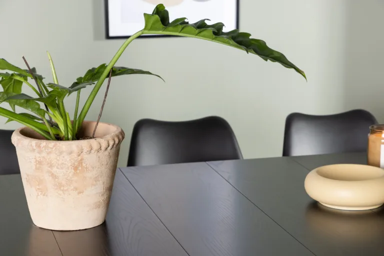 Must söögilauakomplekt Astrid Zeno toolidega, MDF, 200 × 90 cm - GR23518