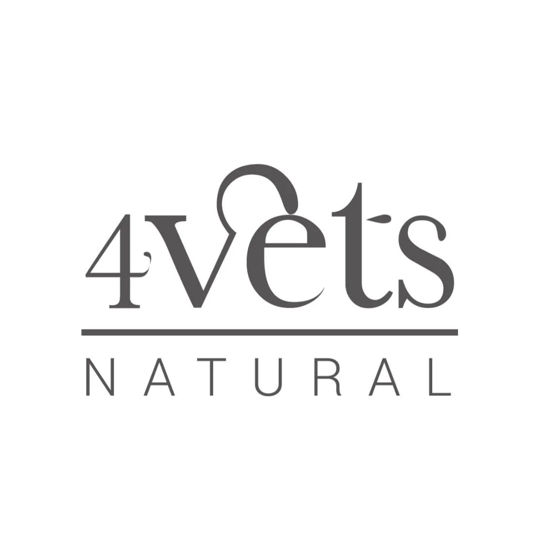 4vets logo