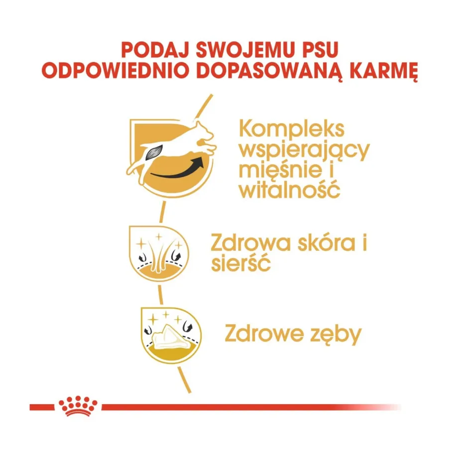 Royal Canin Jack Russell Terrier Adult 1,5 kg linnu- ja riisimaitseline kuivtoit nahale ja karvale – 6